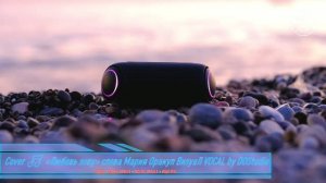 Mariy Oracle — Любовь зову (Кавер) | Авторская песня | DOStudio