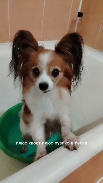 ЖКХ вы что творите? Опять воду отключили!