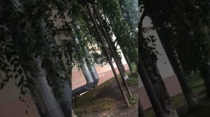 Главный бухгалтер МУП МЖКК ЗАТО Мирный - Часть 2