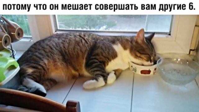 Лень . Юмор