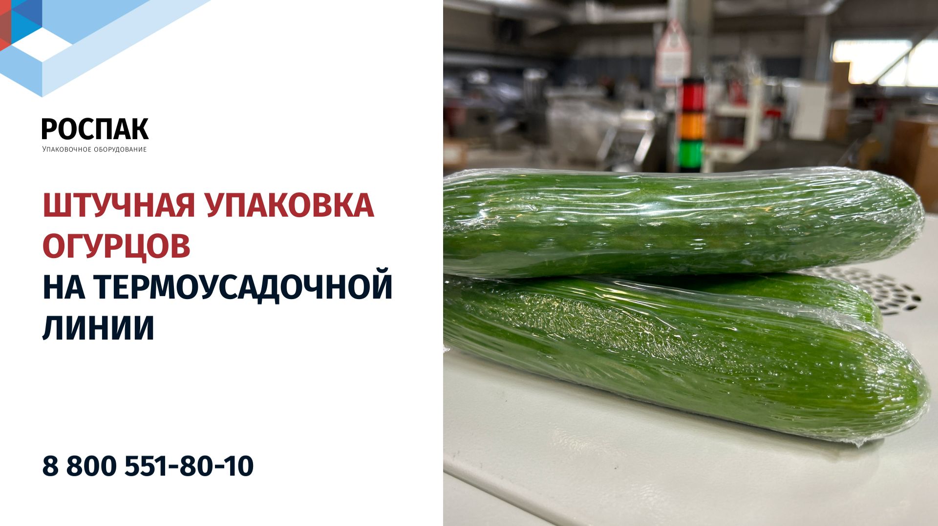 Поштучная упаковка огурцов в термоусадочную пленку: защита и сохранение свежести продукции