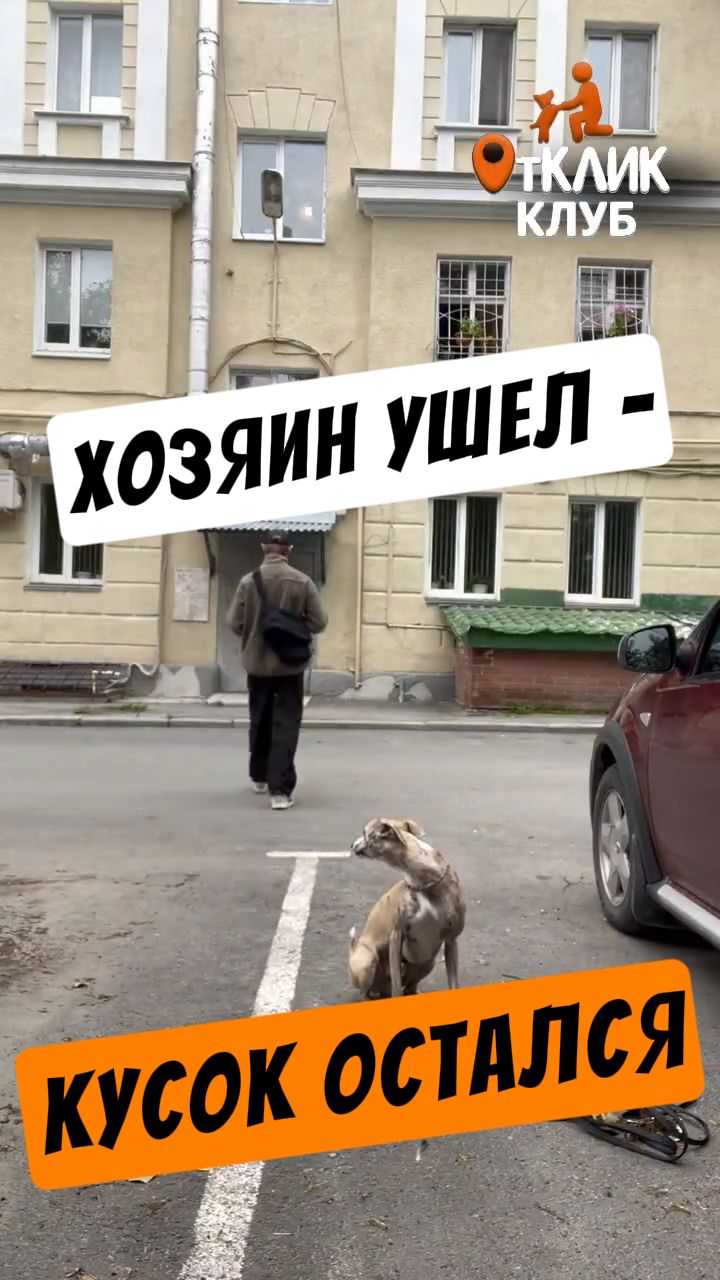 Отказ от подбора на улице