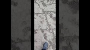 ВЛОГ 18.08.26   / ранее утро/ кабачковый завтрак/ макияж / 60 секунд/ 2 место в летнем сезоне