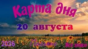 Карта дня🍉20 августа 🐞☘️Пасьянс. Тайм-код в описании 🦢