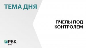 В Минсельхозе Башкортостана заявили, что обработка рапса не влияет на гибель пчёл