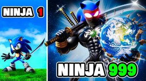 Обновление до Ninja SONIC