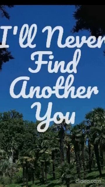 I'll Never Find Another You