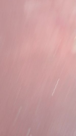 прямая трансляция