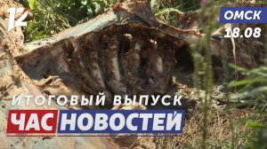 Туши скота выбросили у СНТ / Новая аллея на омской набережной / Неделя без алкоголя. Новости Омска