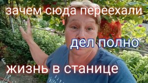 334🌹Зачем сюда переехали/Скучать некогда/Дел полно