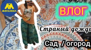ВЛОГ 🌞 Сад / Огород 🎀 ПОКУПКИ Жуткий Дождь