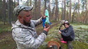 С ДОЧКОЙ И С СУПРУГОЙ ЗА БОРОВИКАМИ! КОСИМ БЕЛЫЙ ГРИБ ПРЯМА С МАШИНЫ \ СБОР БЛАГОРОДНЫХ ГРИБОВ 2026!