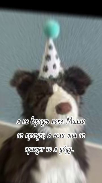 Шанс что Милли приедет 0.01 процент...