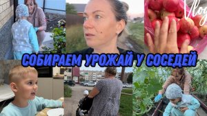 VLOG: Отказались ОТ СОСКИ//Максим в ОГОРОДЕ//Попали на ДР СОСЕДА//У мамы