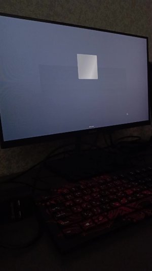 играем в игры в roblox