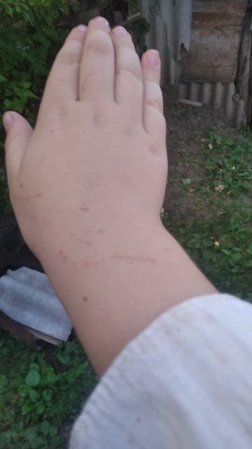 мой котенок и Иво жина