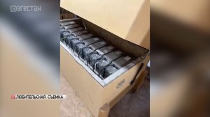 Очередная майнинг-ферма обнаружена в селе Майданское Унцукульского района