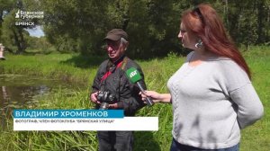 От водопада до «крокодилов»: чем удивило фотографов Ковшовское озеро