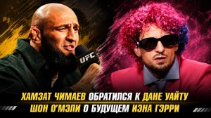 Хамзат Чимаев обратился к Дане Уайту / Дастин Порье выбрал победителя в бою Хабиба и Ислама