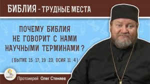 Почему Библия не говорит с нами научными терминами (Бытие 15:17)?  Протоиерей Олег Стеняев
