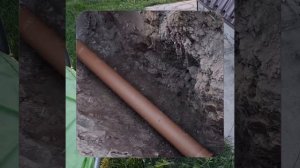 1000067392.mp4 (Собака слушает о технологии устройства канализации в сливную яму у дома А-фрейм)