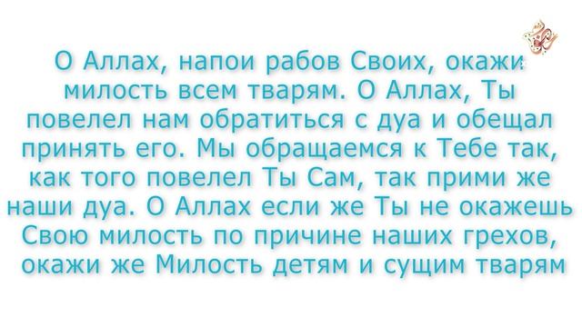Дуа испрашивания дождя
