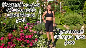 Розы в саду/ Коктейль для обильного цветения роз/ Простые опоры для роз