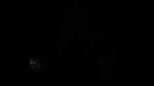 Вот это ночка!