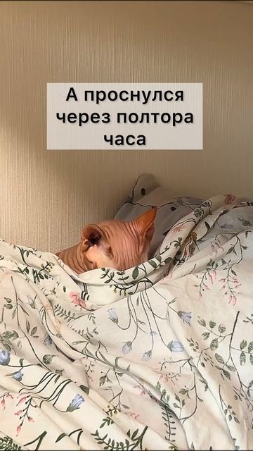 У многих такое бывало