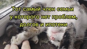 Тот самый член семьи,у которого нет проблем,долгов и ипотеки😂