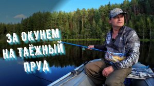 Рыбалка на Окуня на Таёжном пруду,с лодки без поплавка.