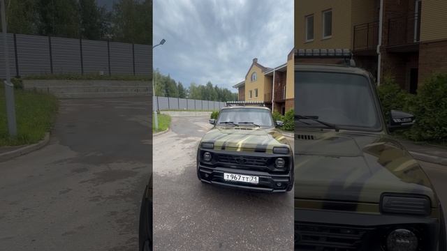 Нива бронто