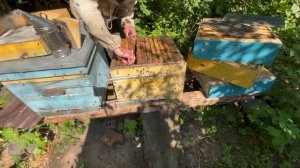 30.06.2026 Исправление отрутневевшей семьи