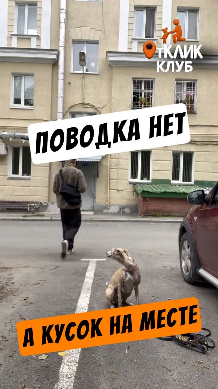 Отказ от подбора на улице
