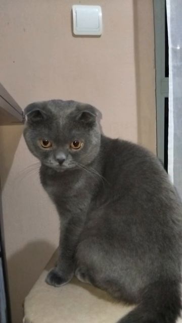 Мой способ красиво закрыть день. 🤍