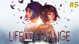 Life is Strange Прохождение ► Финальный стрим две концовки #5