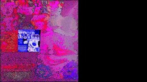 1000012721.mp4