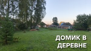 Жизнь в деревне Собрал яблоки на джем Утки ещё растут Дело идёт к осени Деревенские будни