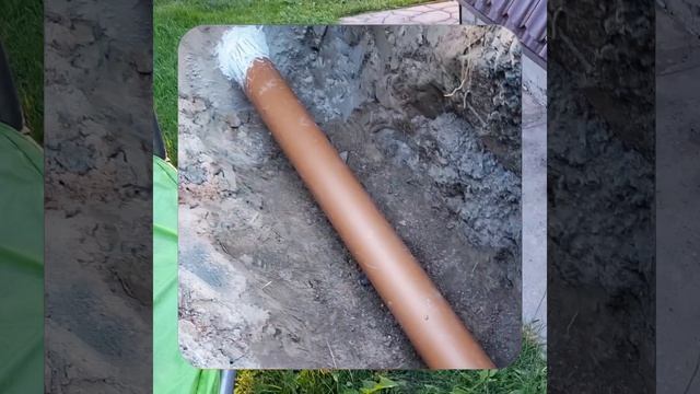 1000067387.mp4 (Собака слушает о технологии устройства канализации в сливную яму у дома А-фрейм)