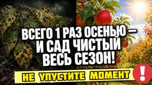 Самая мощная искореняющая обработка! СДЕЛАЛ РАЗ ОСЕНЬЮ - И НИ БОЛЕЗНЕЙ, НИ ВРЕДИТЕЛЕЙ ВЕСЬ ГОД!