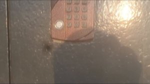 тест домофонов 2ч