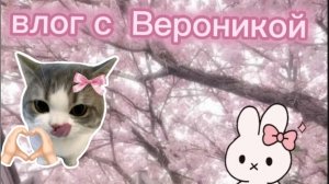 ВЛОГ С ВЕРОНИКОЙ💗