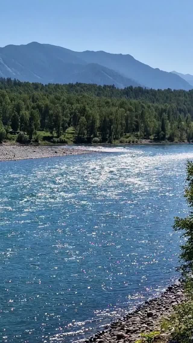 Пикник на берегу Катуни