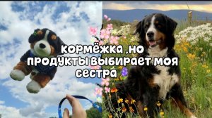 🏞️~|кормёжка ,но продукты выбирает моя сестра)!🌿🌾#пдб