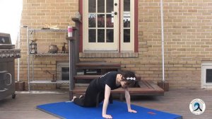Hapkido Basic Strikes _2 - Full Lesson