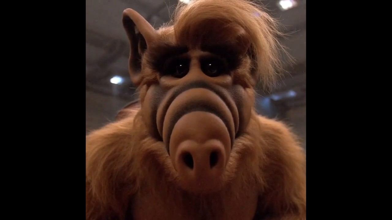 Альф (черновик) #alf #fyp #viral