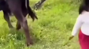 Девочка не делай так 😱