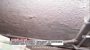 «Колкий случай»: как опавшая хвоя спровоцировала конфликт между соседями в посёлке Советское?