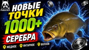 🤑 ТОП-3 ТОЧКИ ФАРМА и РАЗДАЧИ ТРОФОВ РР4 (18.08)! СВОДКА по ВОДОЕМАМ! МЕДНОЕ • ЯНТАРНОЕ • ОСТРОГ