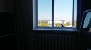 Пешком по ... городу Вязники. Надеюсь, это голубь мира.